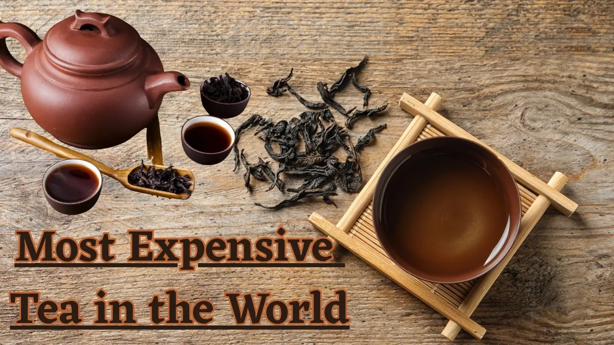List of the Top Most Expensive Tea in the World