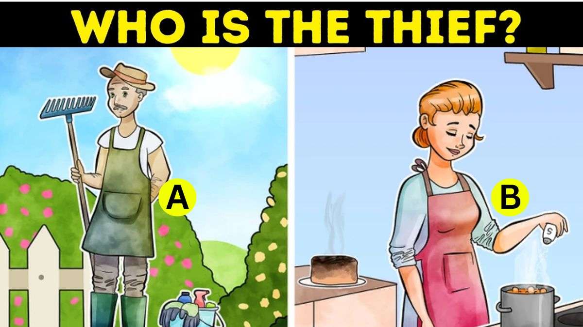 Are You Among Top 1% With Sharpest Minds? Spot Who Stole From The Mansion In 5 Seconds!