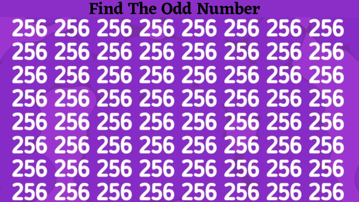 Do You Have A 140+ IQ Level? Then Find The Odd Number Among The “256” Sequence Series