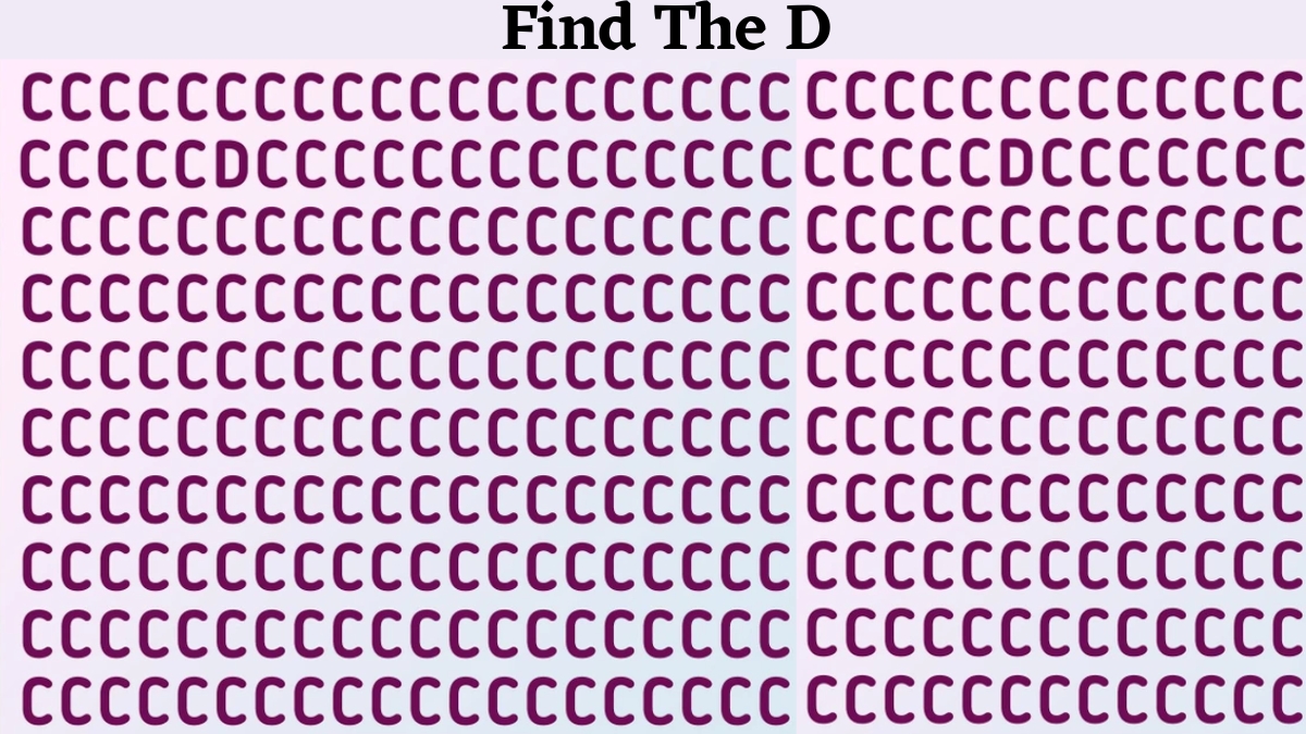 Do You Possess A 120+ IQ Level? Then Find The Letter “D” Among The “C” Sequence Series