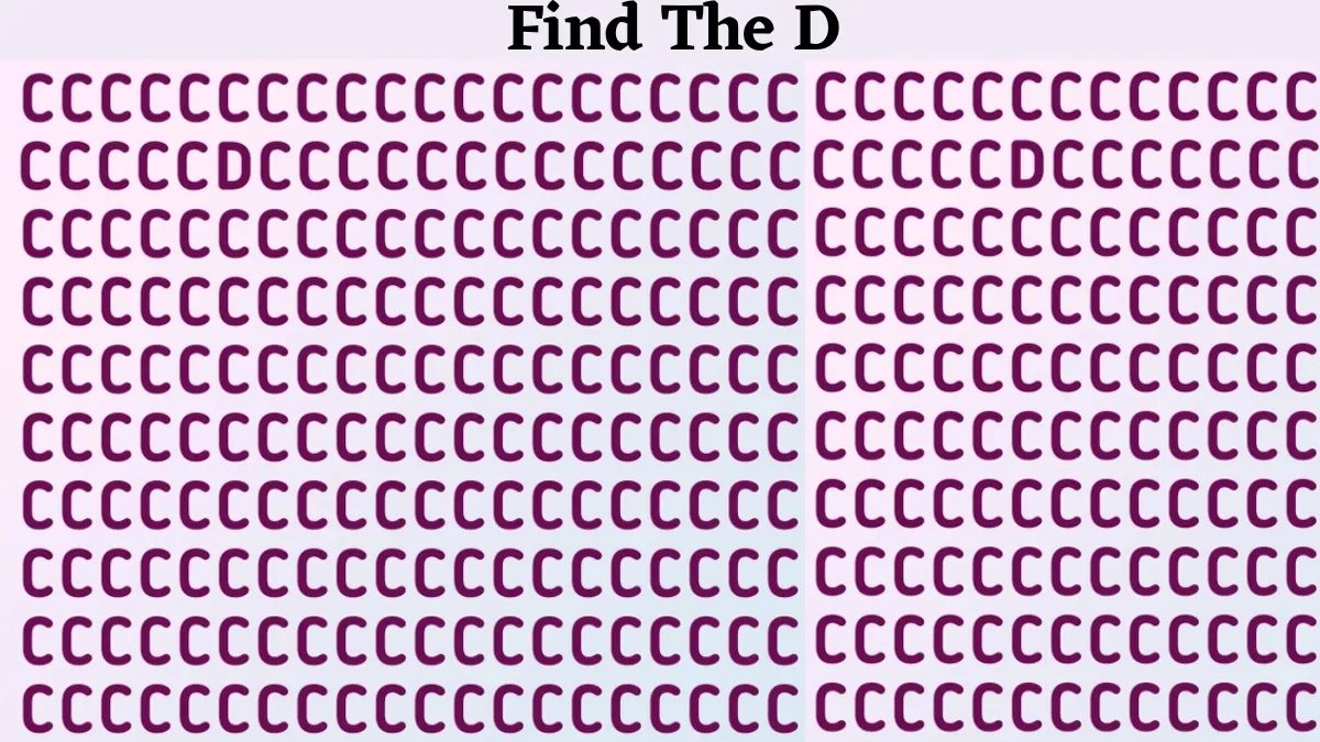 Do You Possess A 120+ IQ Level? Then Find The Letter “D” Among The “C” Sequence Series