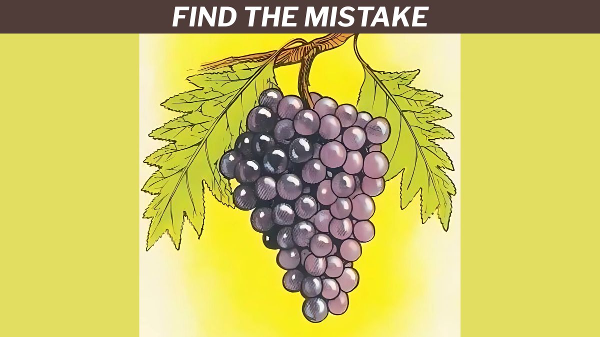 IQ Test: Unleash Your Inner Genius by Finding the Mistake in 5 Seconds!
