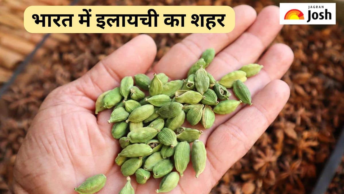 भारत में किस शहर को कहा जाता है ‘इलायची का शहर’, यहां जानें जवाब