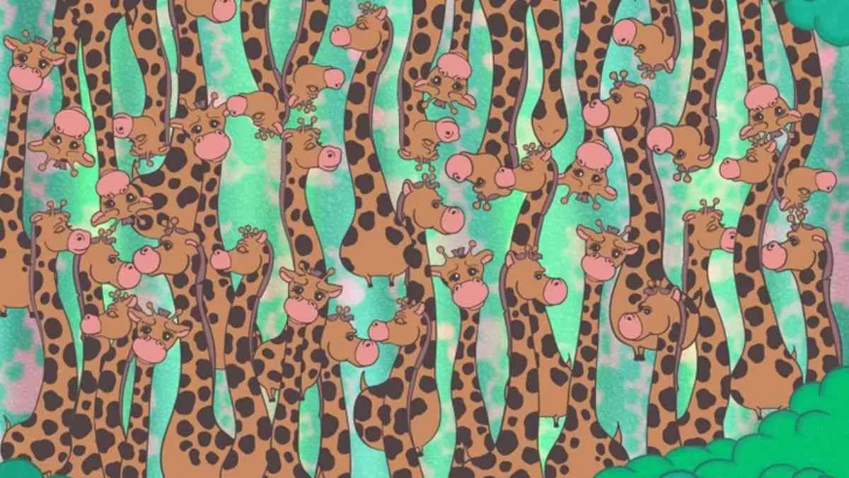 Spot the snake.