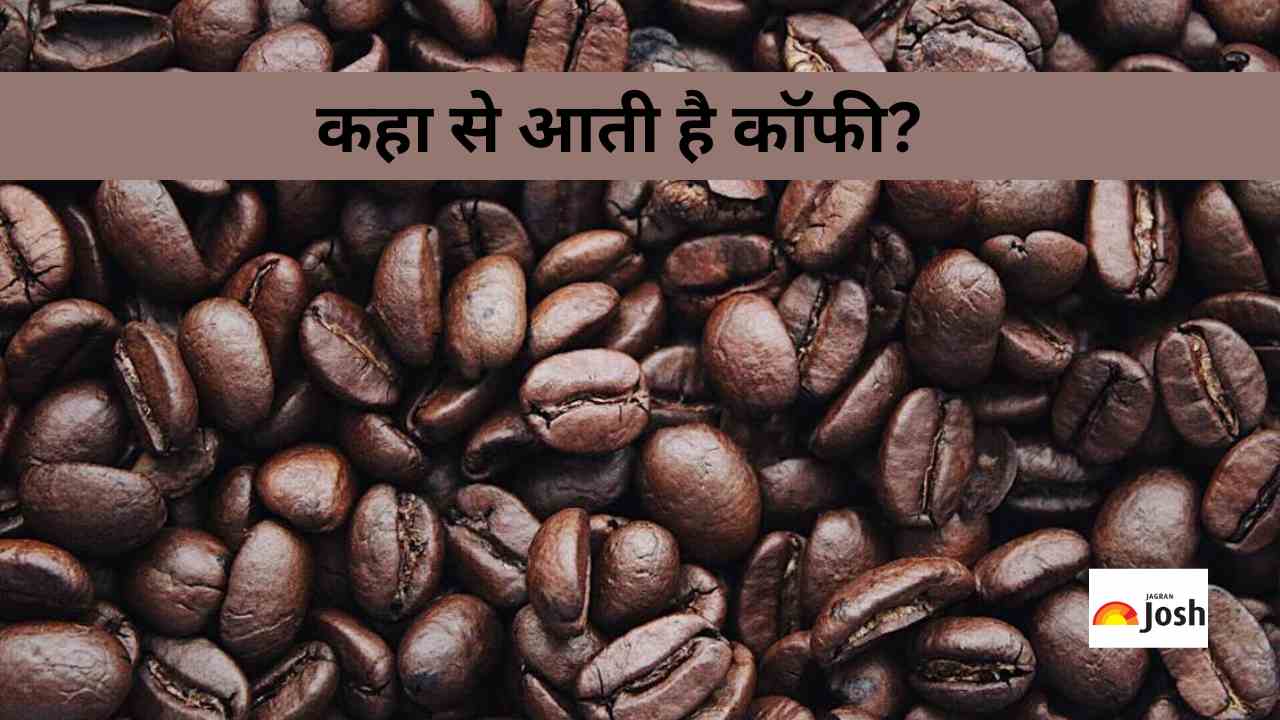 ये हैं दुनिया में सबसे ज़्यादा कॉफ़ी का निर्यात करने वाले 10 देश