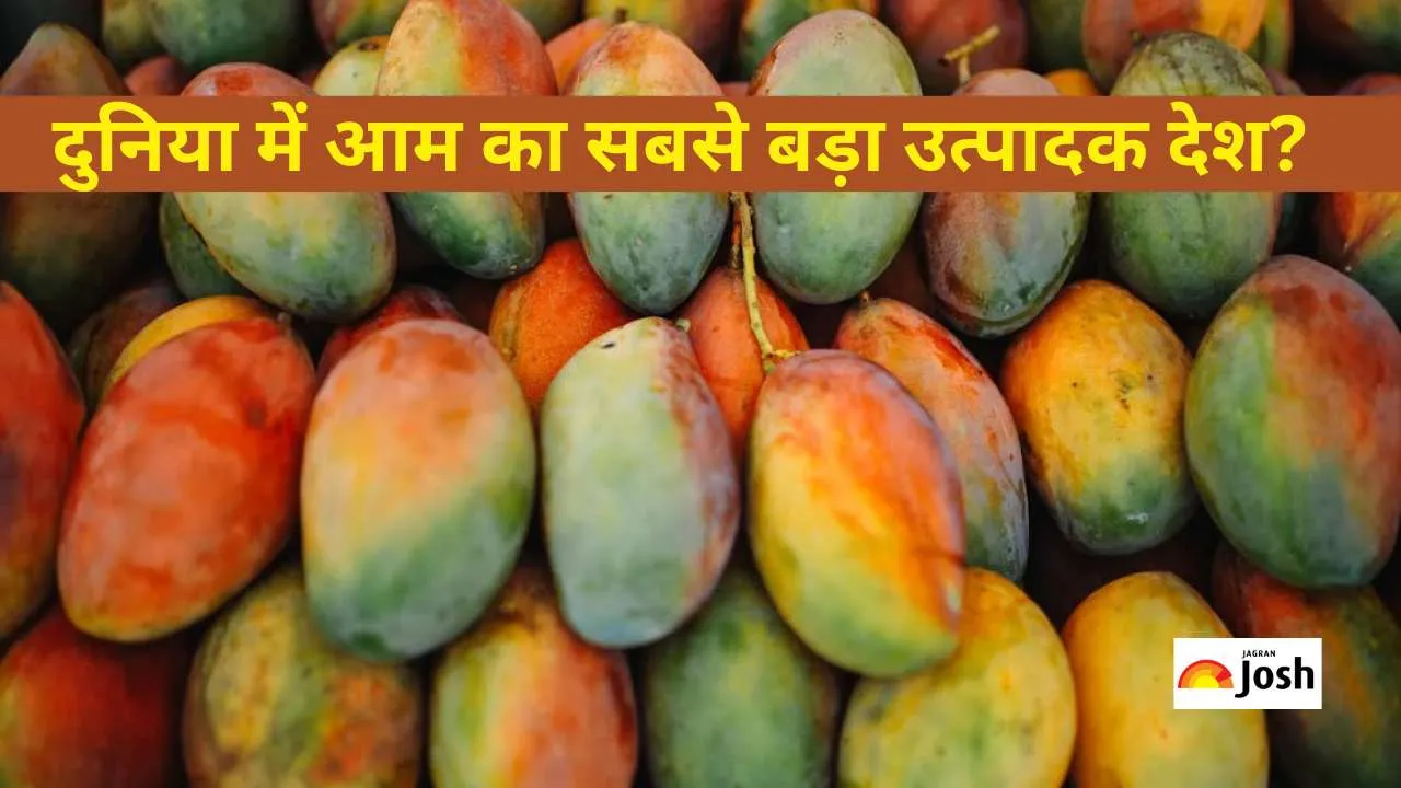 mango producting country