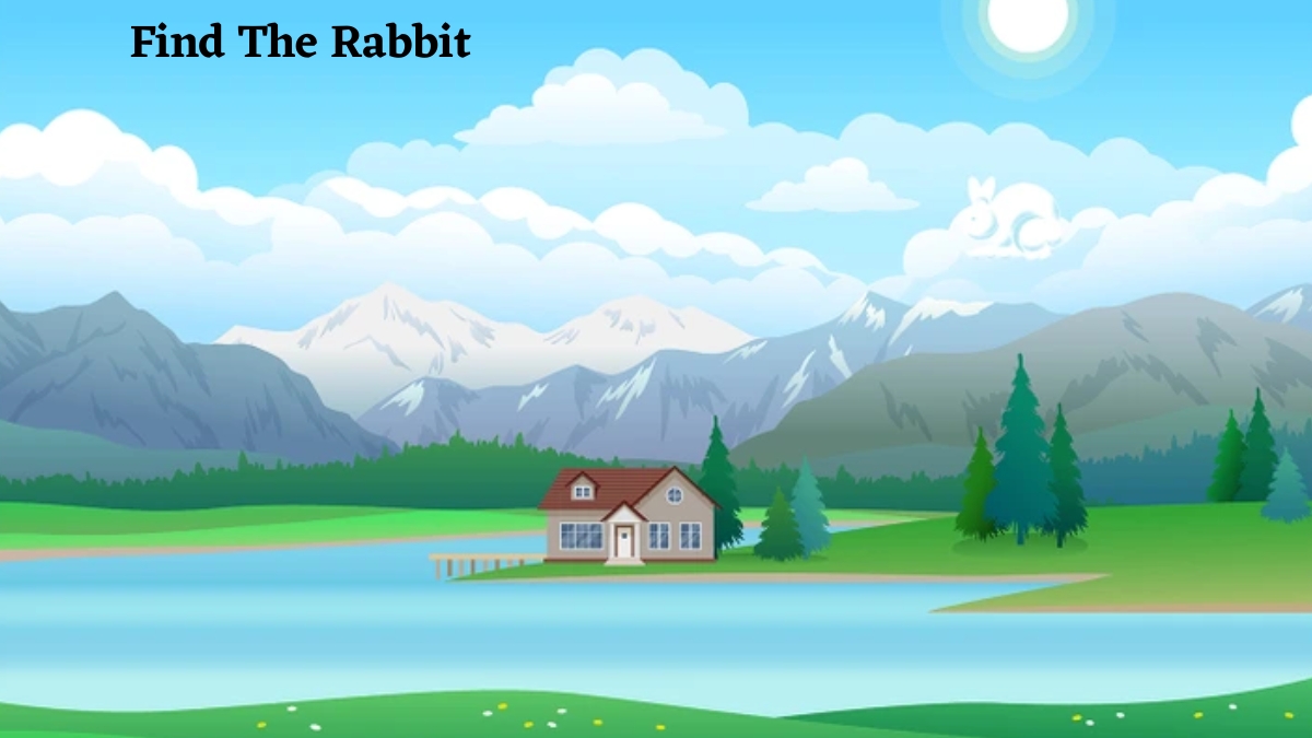 If You Possess Sharp Eyesight, Then Find The Hidden Rabbit Who Is Hopping In This Optical Illusion