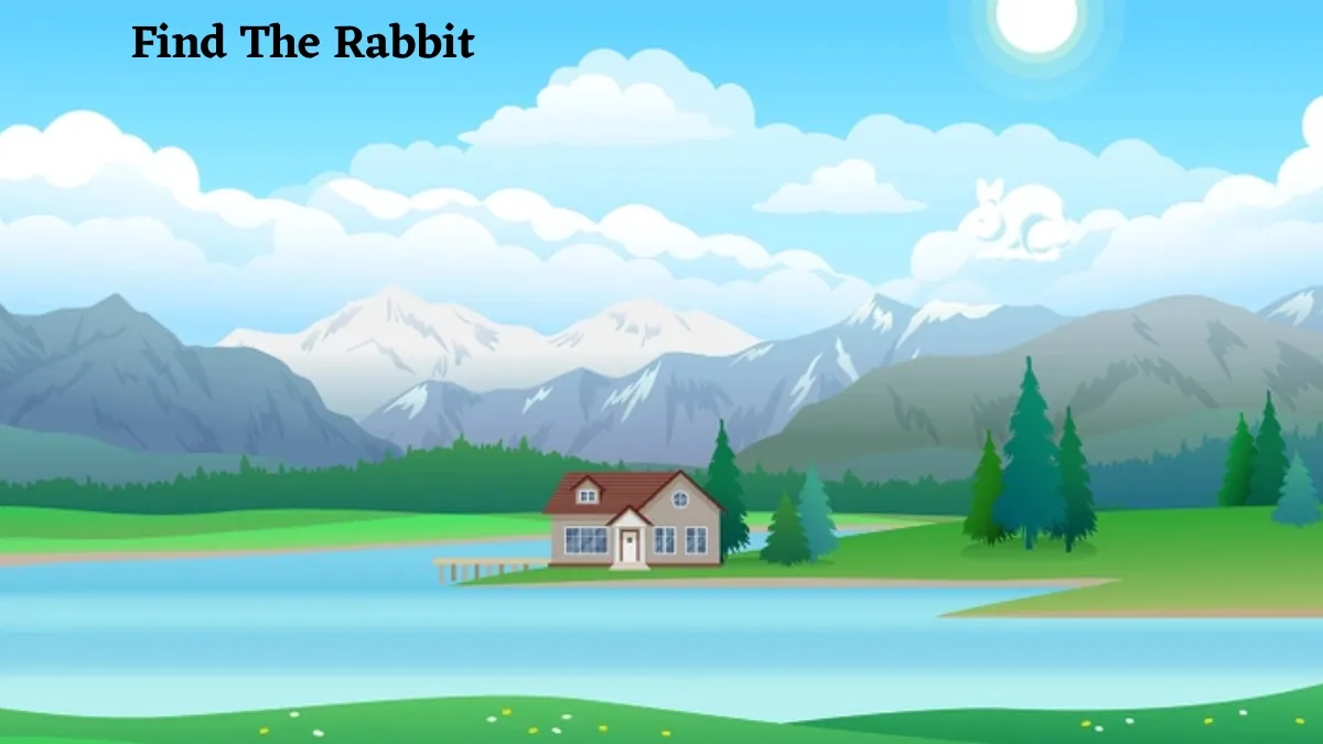 If You Possess Sharp Eyesight, Then Find The Hidden Rabbit Who Is Hopping In This Optical Illusion