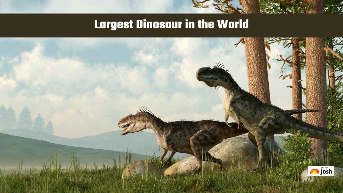 Largest Dinosaur in the World