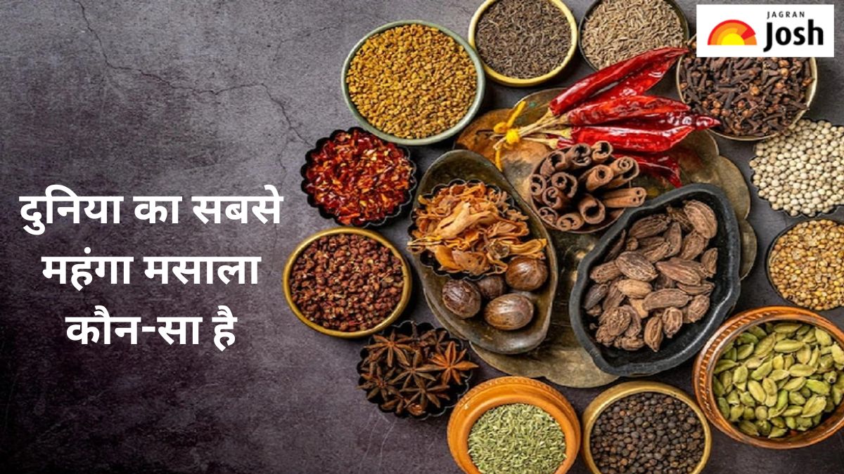 दुनिया का सबसे महंगा मसाला कौन-सा है, यहां जानें