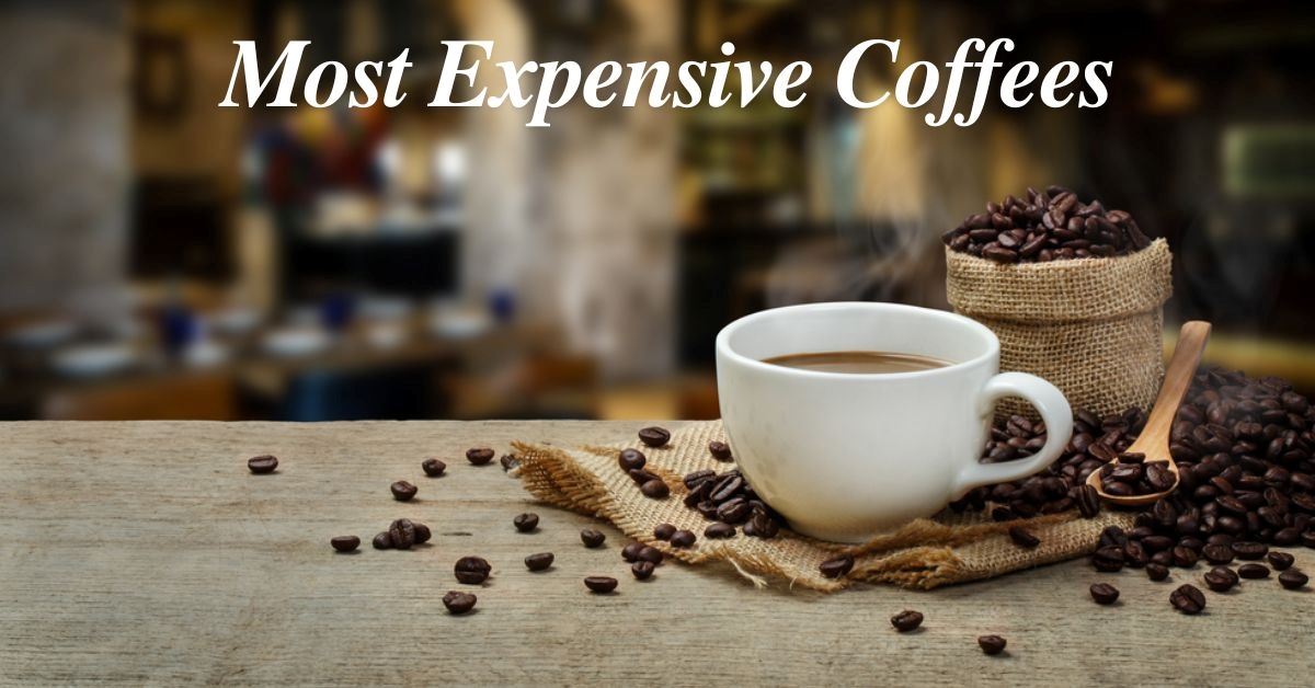 Top 10 Most Expensive Coffees in the World