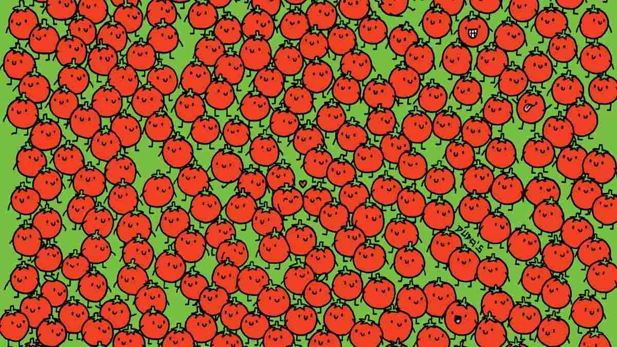 Spot three apples hidden among tomatoes.