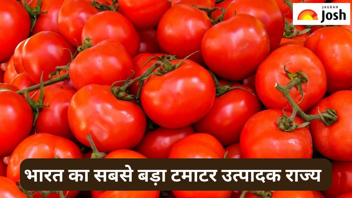 भारत का सबसे बड़ा टमाटर उत्पादक राज्य कौन-सा है, यहां पढ़ें