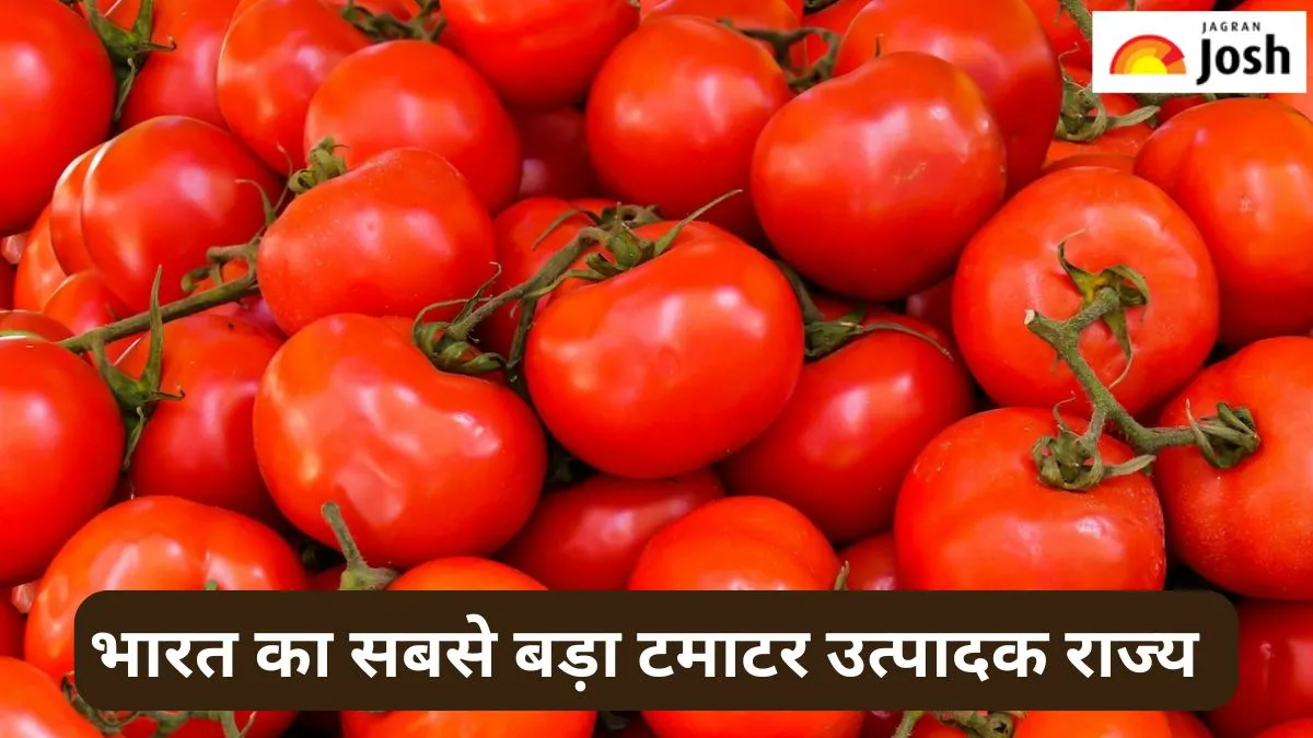 भारत का सबसे बड़ा टमाटर उत्पादक राज्य