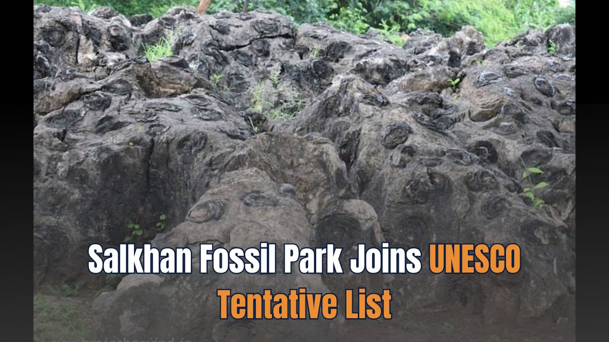 Salkhan Fossil Park in Sonbhadra Joins UNESCO Tentative List
