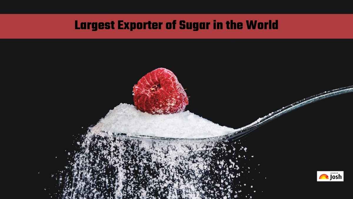 Which Country is the Largest Exporter of Sugar in the World?