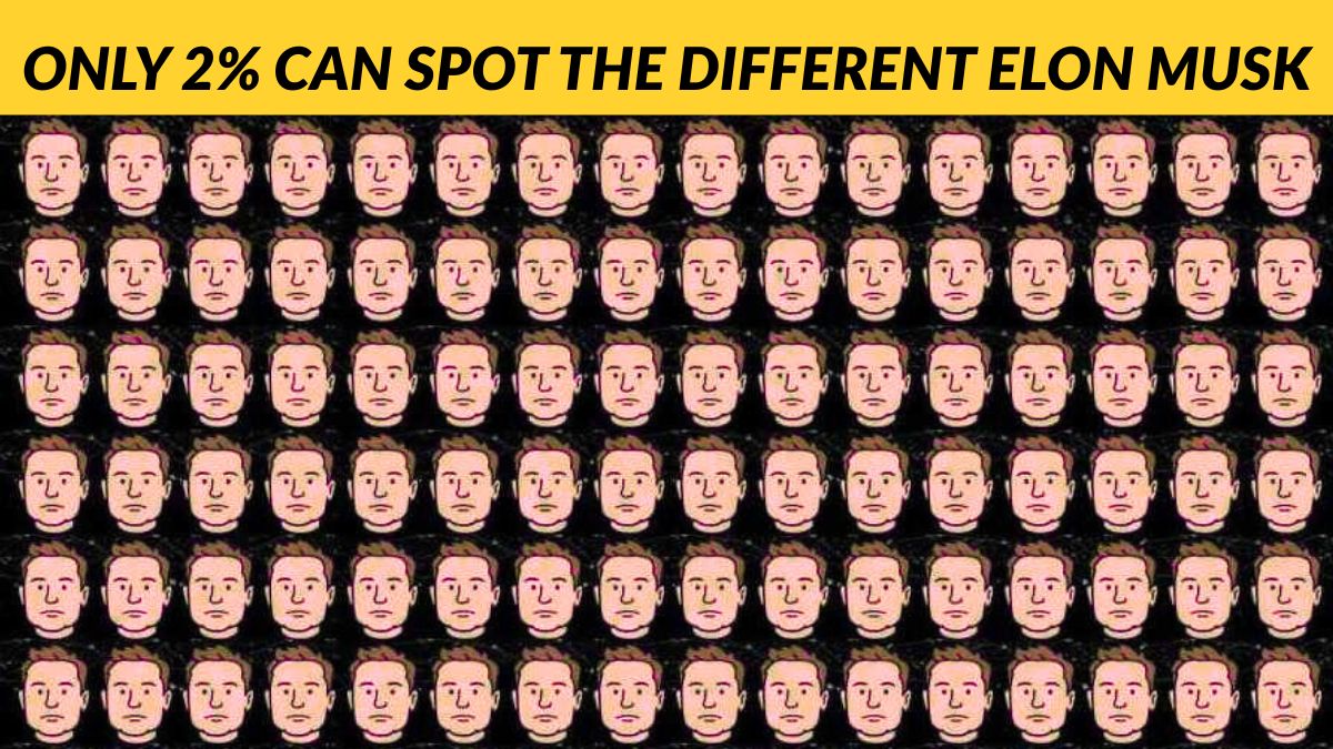Only 2% With Eagle Eyes Can Spot the Different Elon Musk in 5 Seconds!