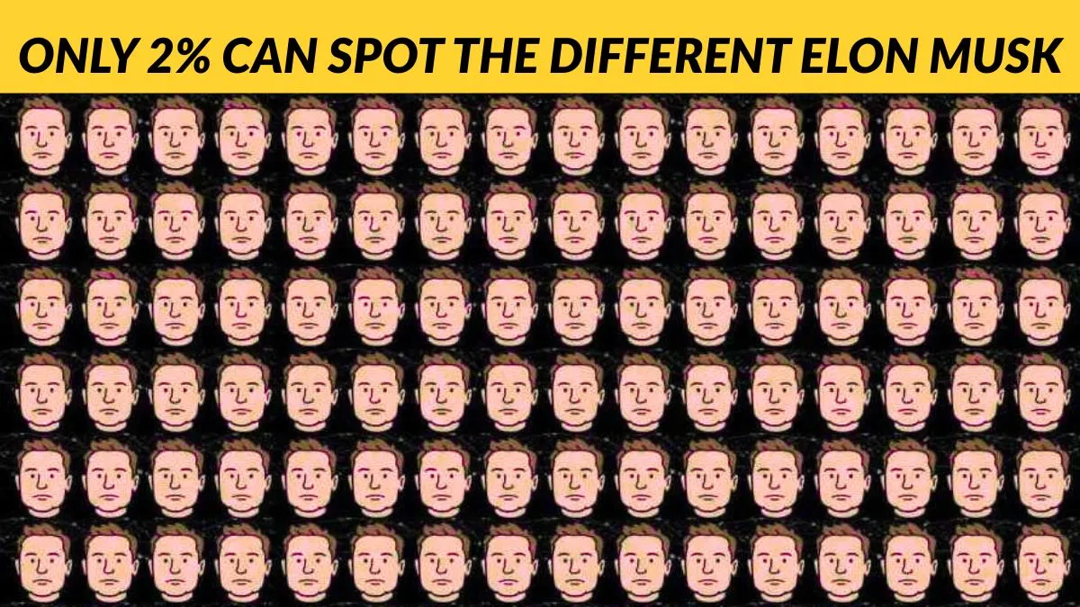 Only 2% can spot the different Elon Musk