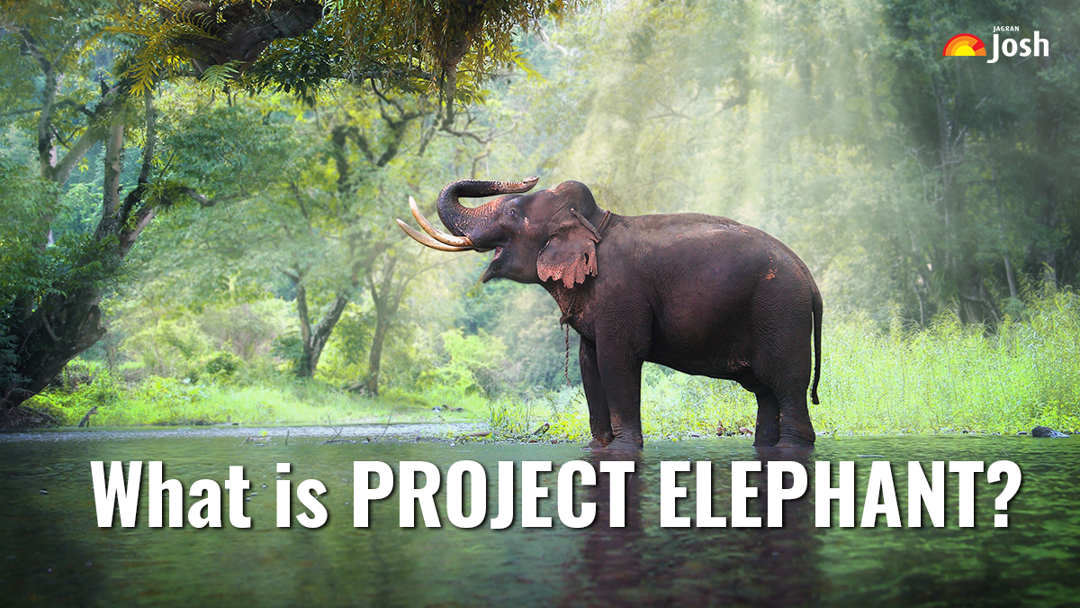 What is Project Elephant? Key Facts, Goals And Other Details