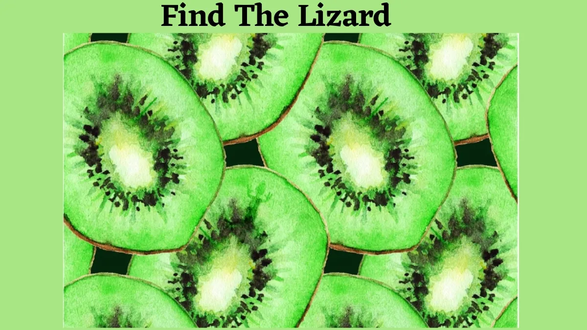 If You Possess A 140+ IQ Level, Then Find The Lizard In Kiwi Fruits