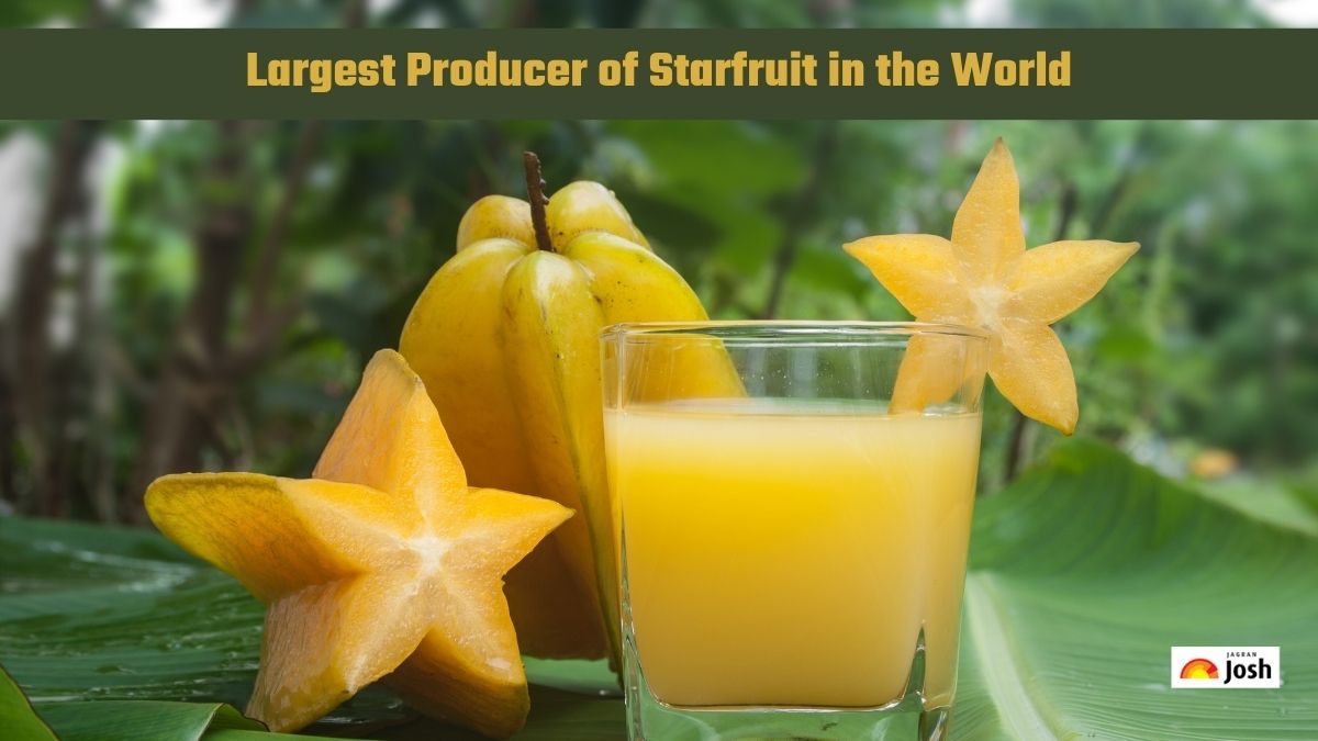 Which Country is the Largest Producer of Starfruit in the World?