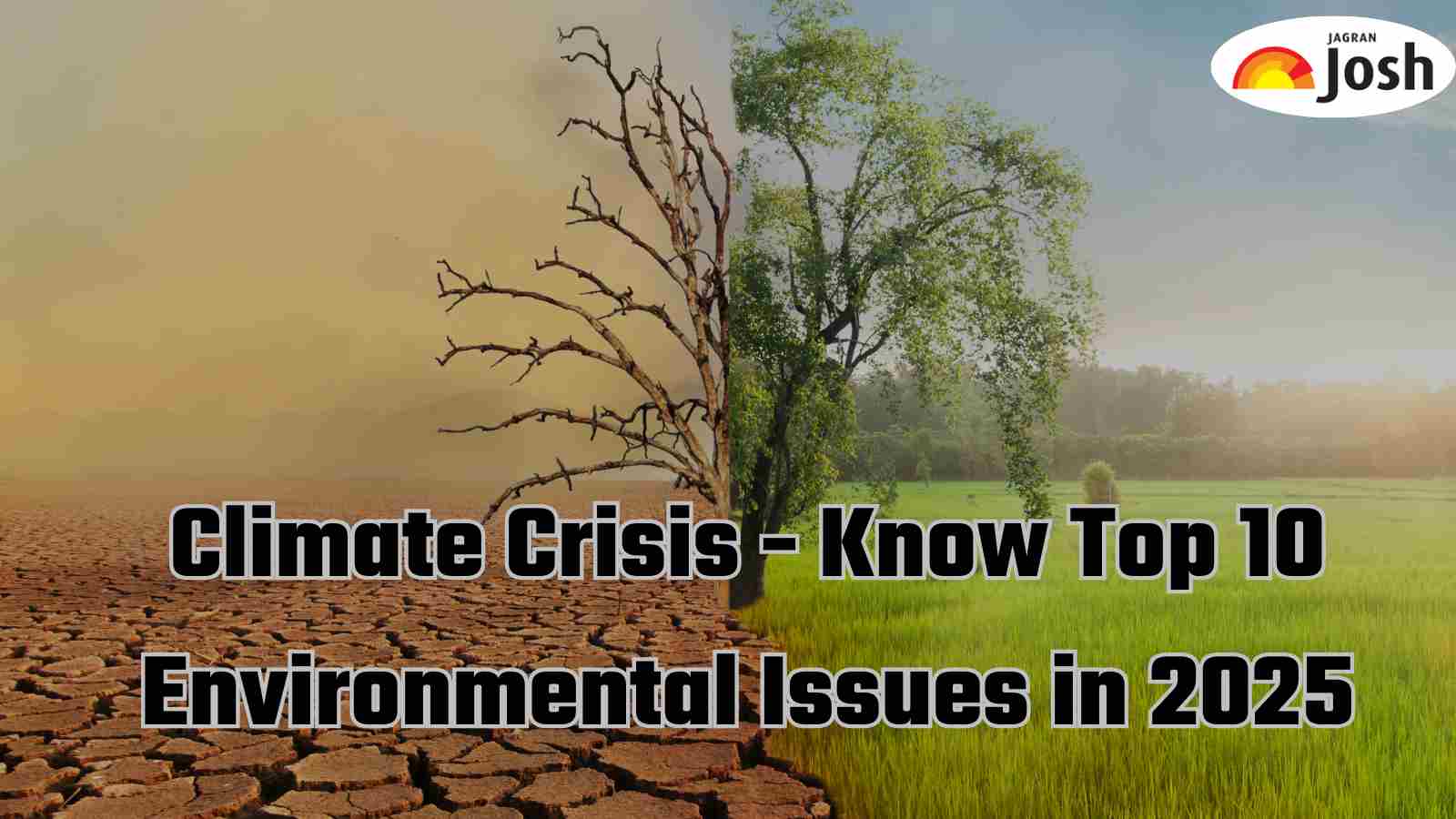 Top 10 Environmental Topics and Issues in 2025 for School Students