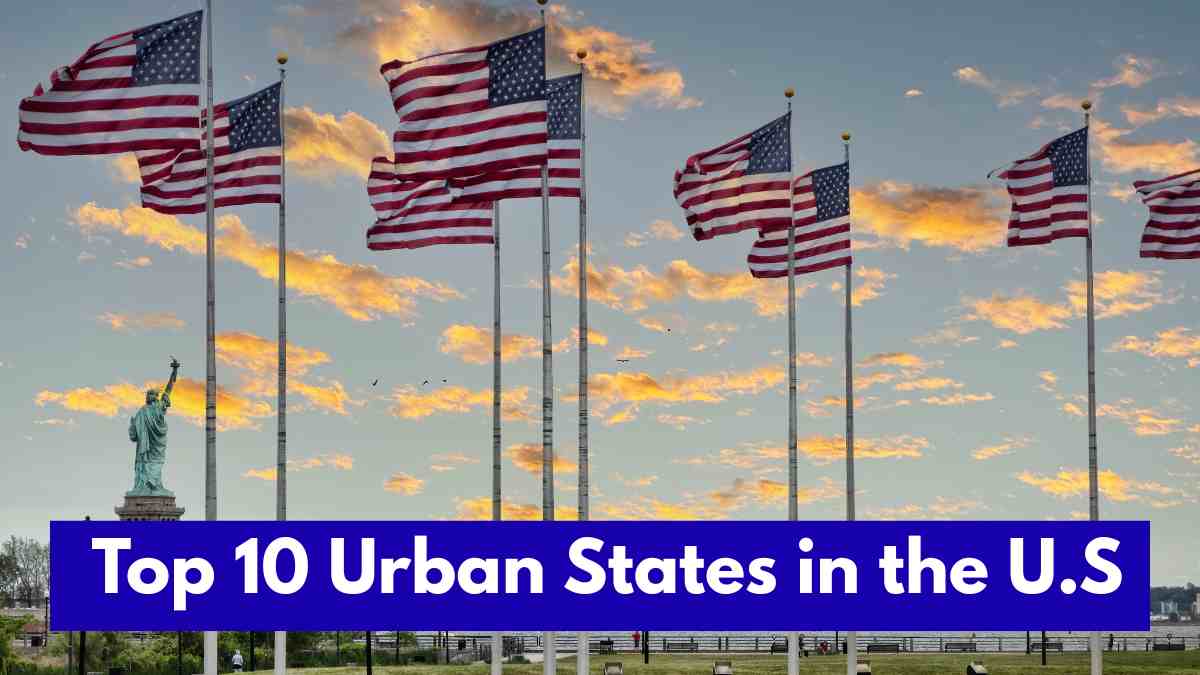 Top 10 Urban States in the U.S. - Check the Population and Urbanization Percentage