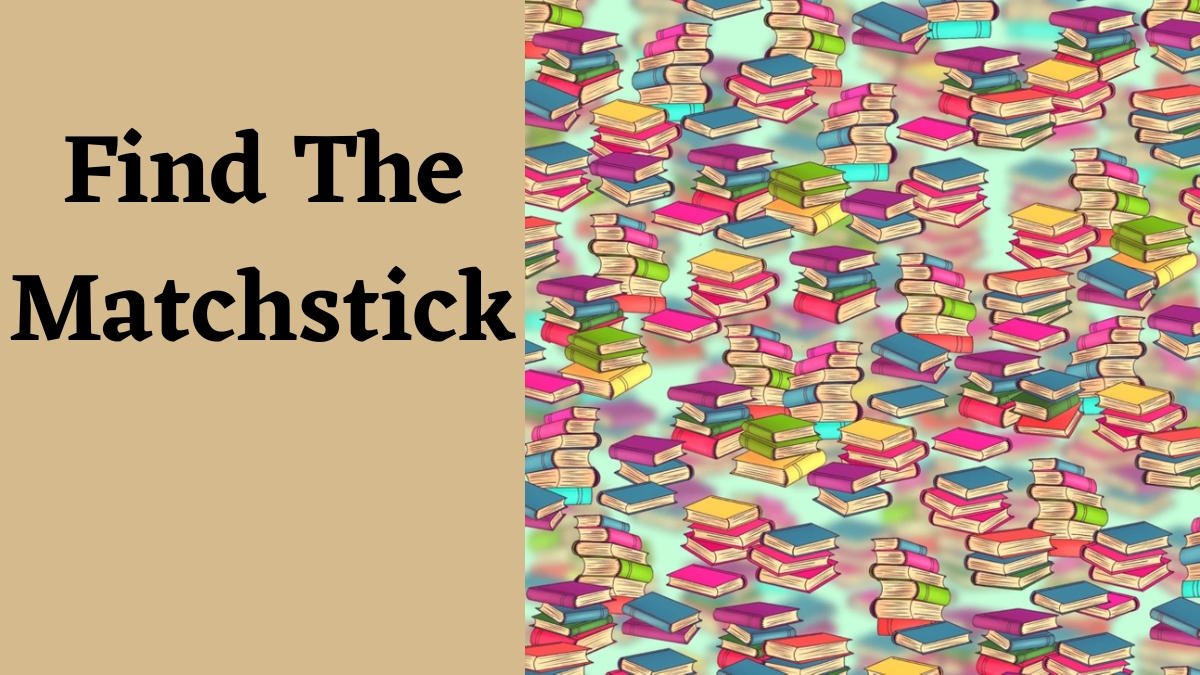 Only 1% Who Possess 130+ IQ Level Can Find The Hidden Matchsticks Among The Books
