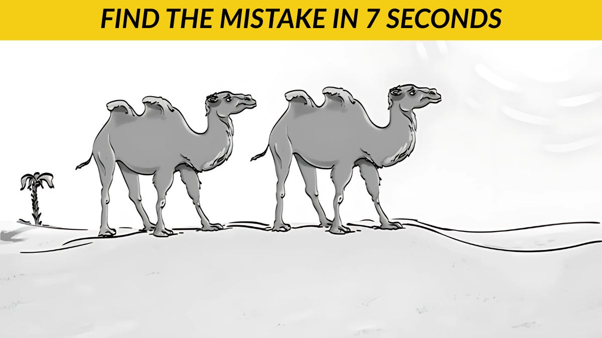 Only 140+ IQ Holders Can Find the Mistake in the Picture in 7 Seconds!
