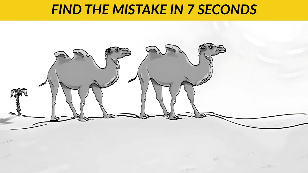 Find the mistake in 7 seconds!