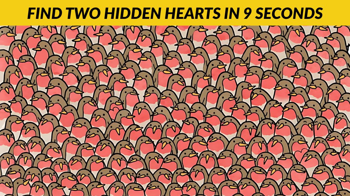 Visual Illusion: Only Those With 20/20 Vision Can Find the Two Hidden Hearts Among Robins in 9 Seconds!