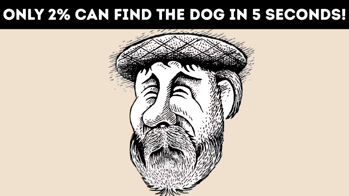 Optical Illusion: Only 2% Can Find the Hidden Dog in 5 Seconds!
