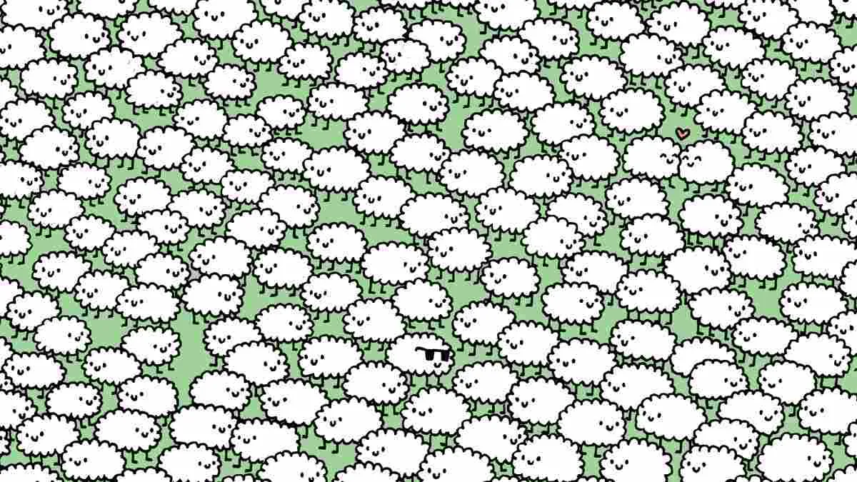 Spot three clouds hidden among the sheep.