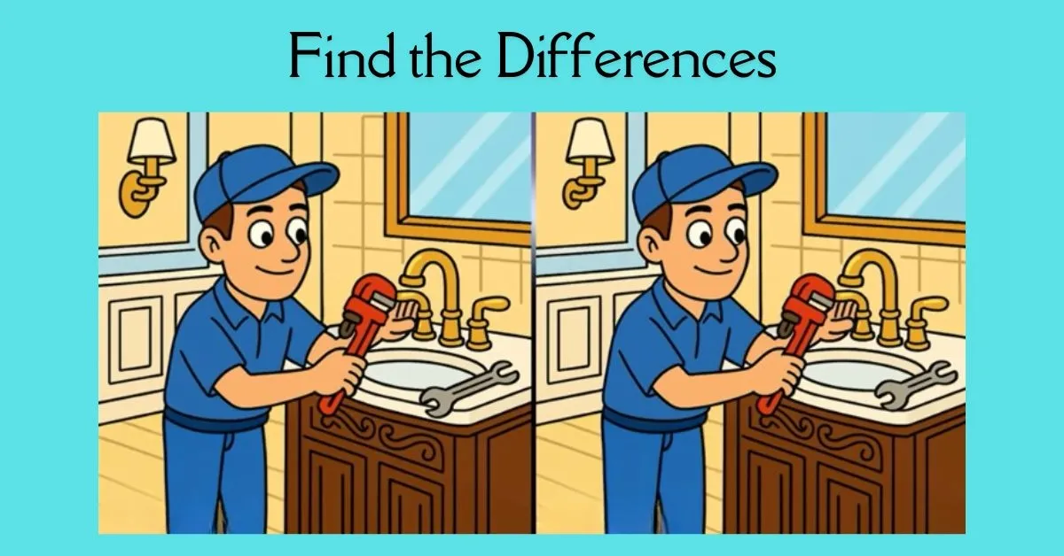Spot the 3 Differences in Man Repairing Handbasin