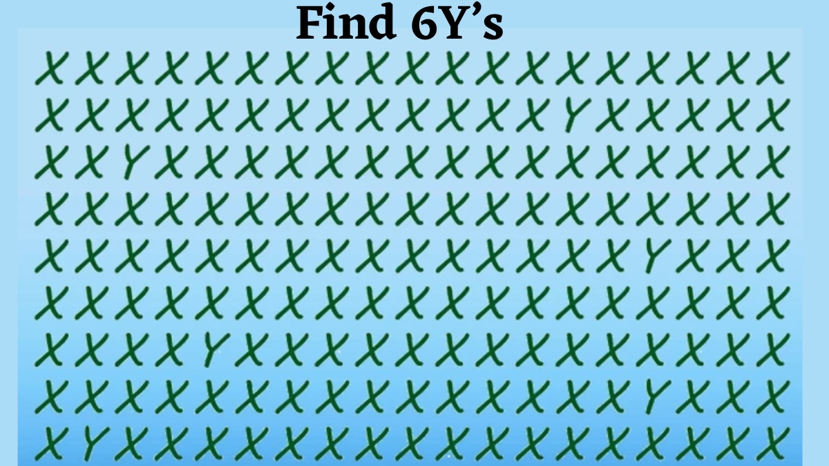 Are You A Sniper Observer? Find The 6 Y’s Among The “X” sequence series