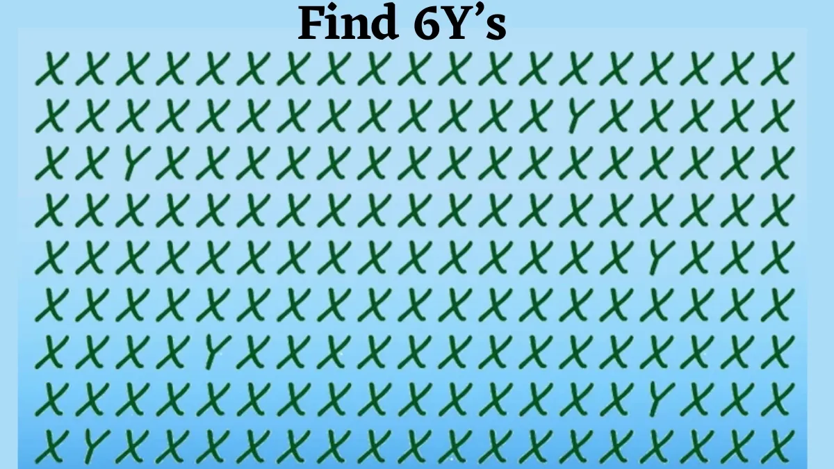 Are You A Sniper Observer? Find The 6 Y’s Among The “X” sequence series