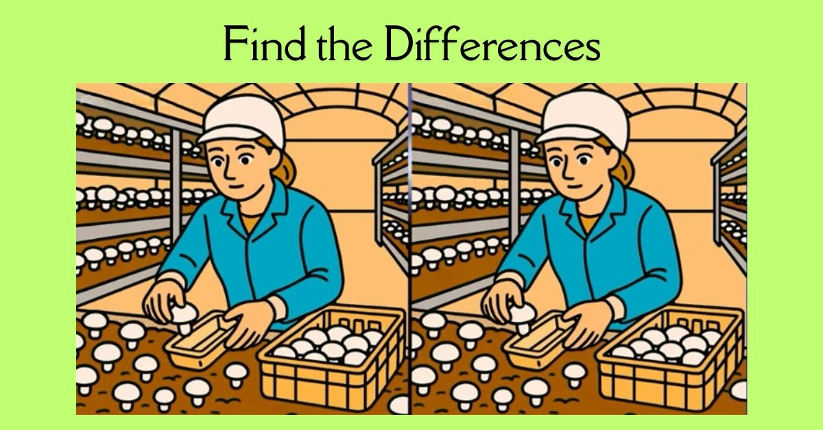 Spot the 3 Differences in Lady Packing Mushrooms Beat the 23-Second Challenge!