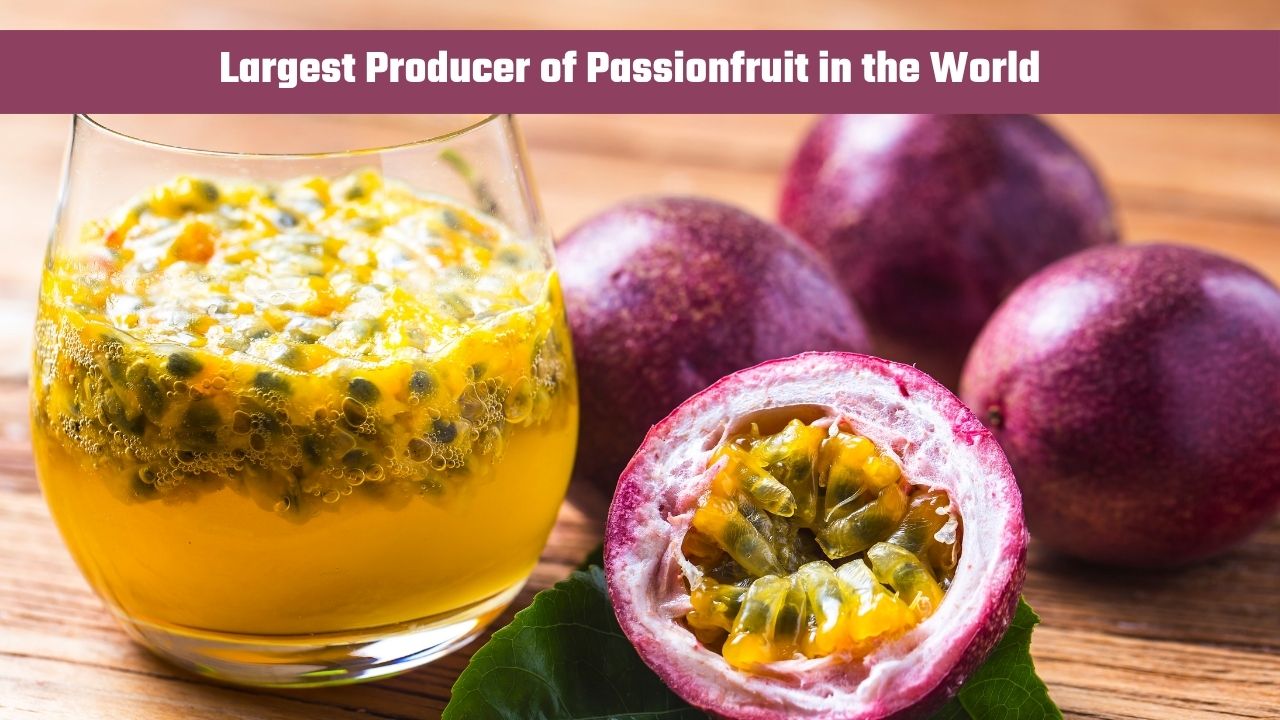 Which Country is the Largest Producer of Passionfruit in the World?