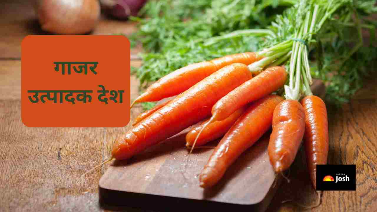 इन 5 देशों में होती है सबसे ज्यादा गाजर की खेती?