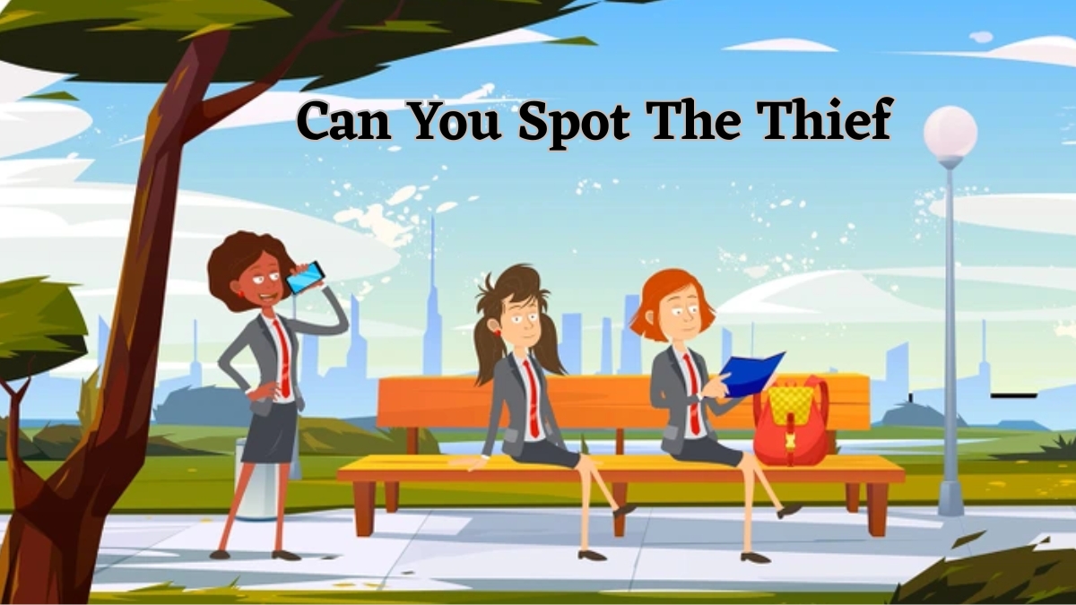 Do You Think You Possess a 130+ IQ Level? Then Spot The Thief In The Park