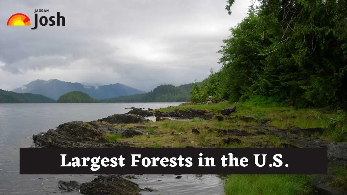 The Tongass National Forest in Alaska is the largest forest in the U.S.