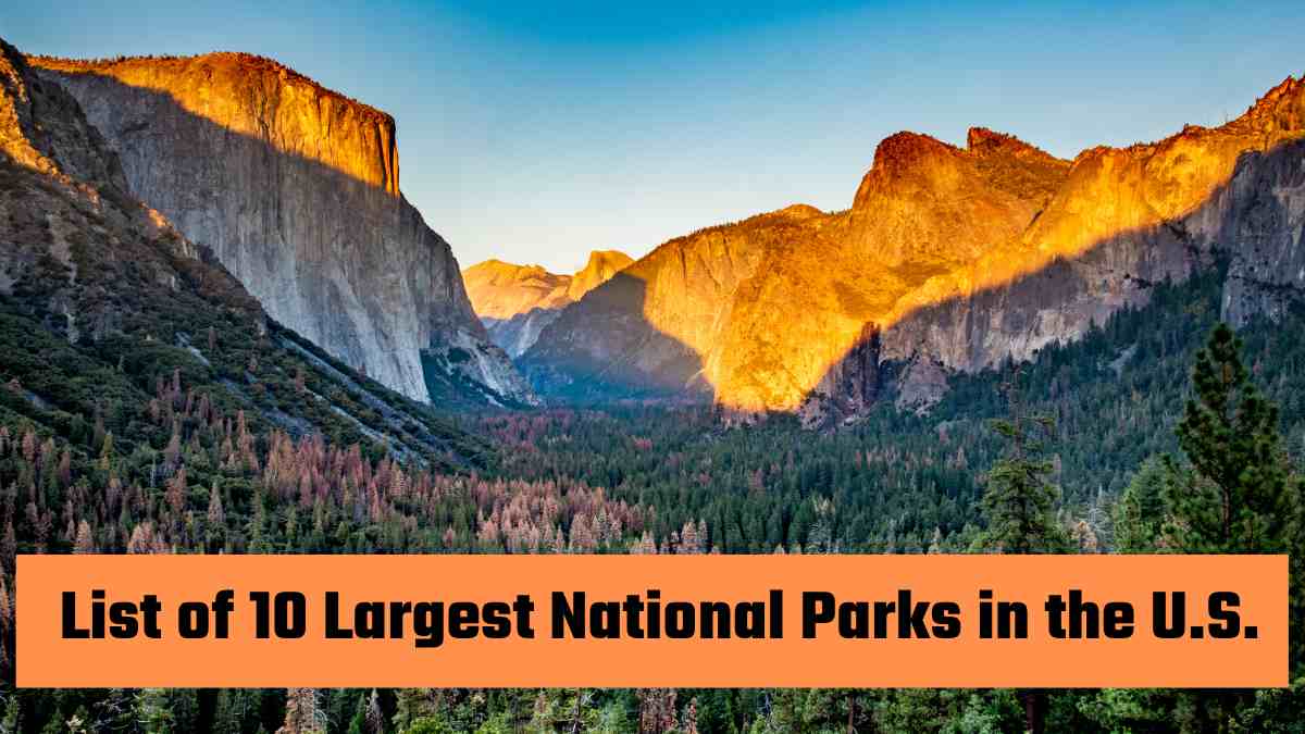 List Of 10 Largest National Parks in the U.S.: Check the Size and Location
