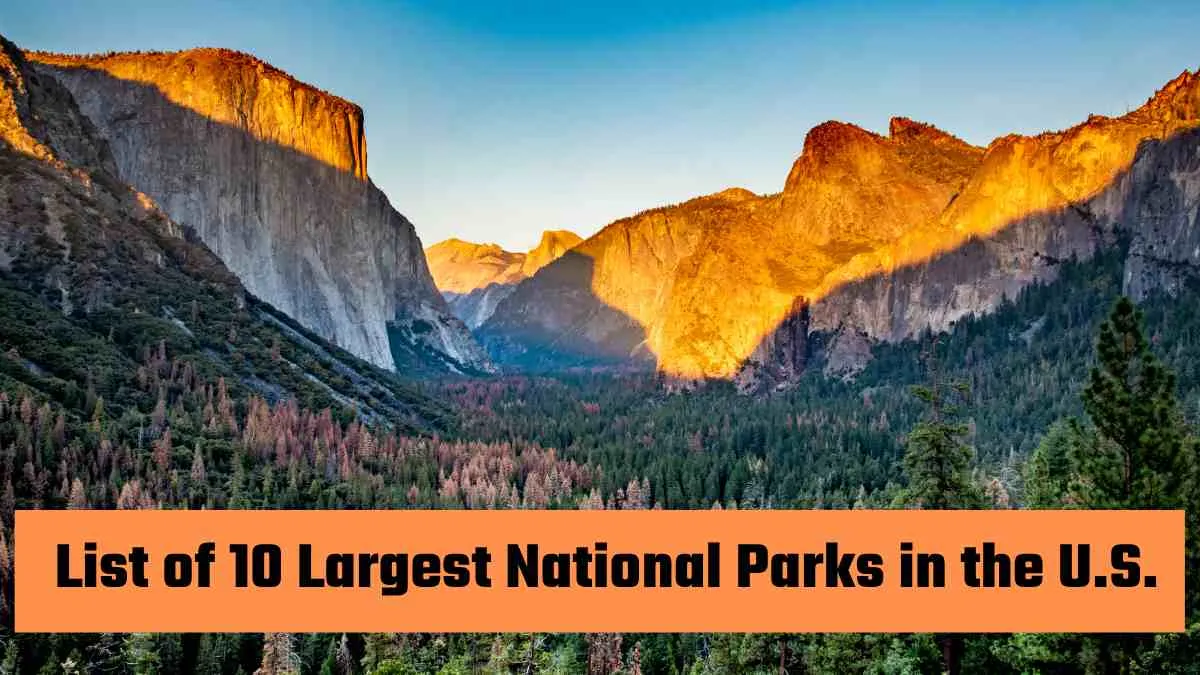 List Of 10 Largest National Parks in the U.S.