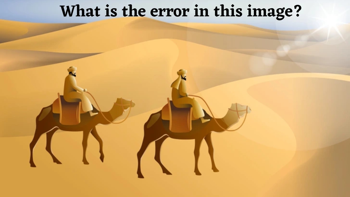 Do You Have the Observation Skills of a True Detective with 6/6 Vision? Spot the Hidden Mistake That Most People Overlook!