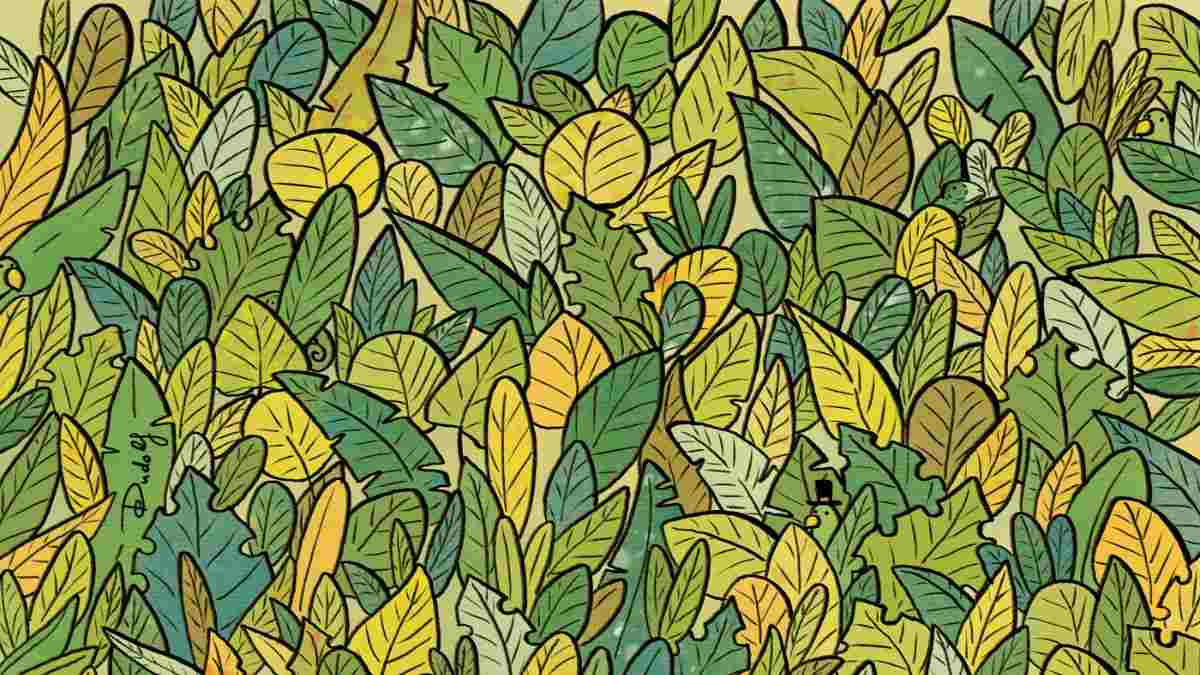 Even People With Sharpest Eyes Failed To Spot Three Chameleons! Can you?
