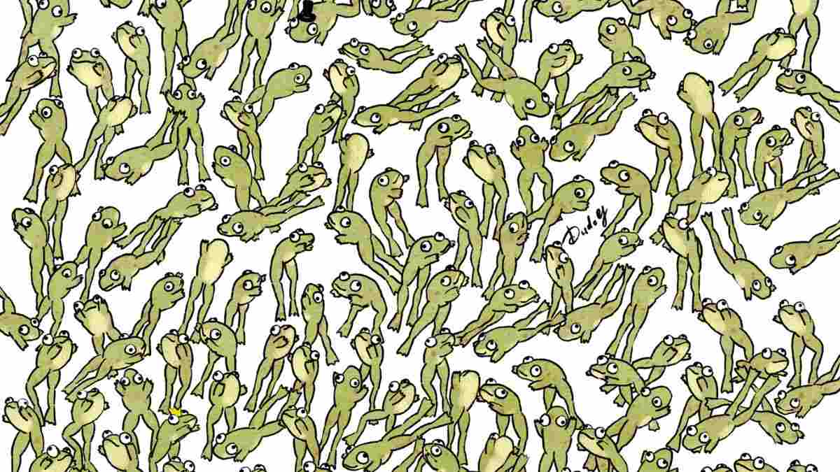 One Frog Is Not Leaping! If You Possess The Sharpest Eyes, Spot It In 21 Seconds!