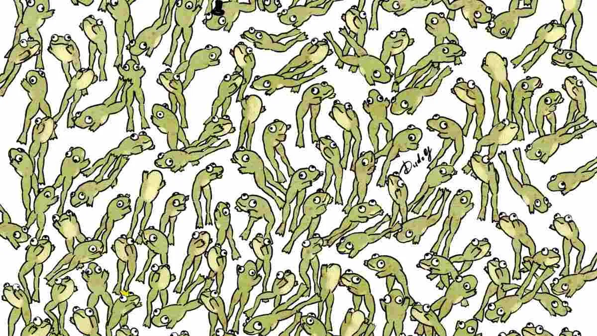 Spot the frog NOT leaping.