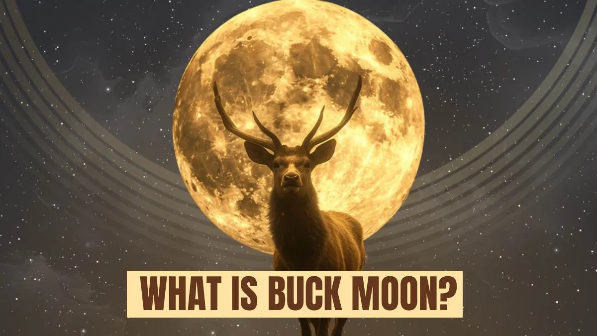 What is Buck Moon?