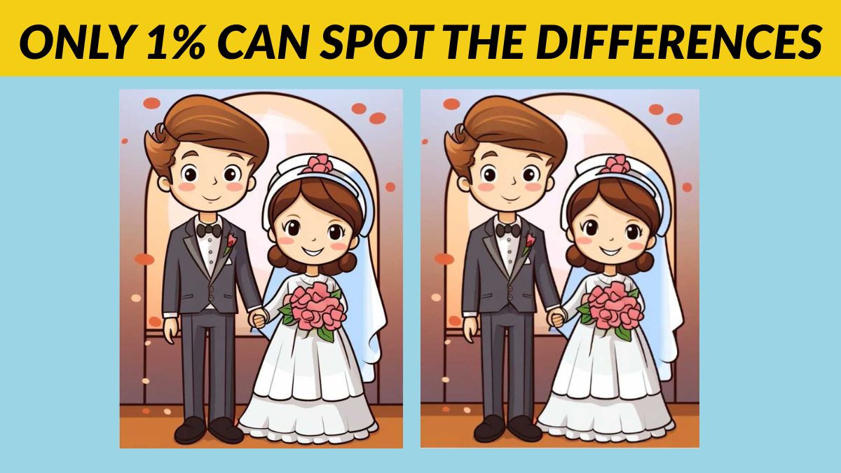 Spot the 3 Differences in the Couple Pictures in 29 Seconds!