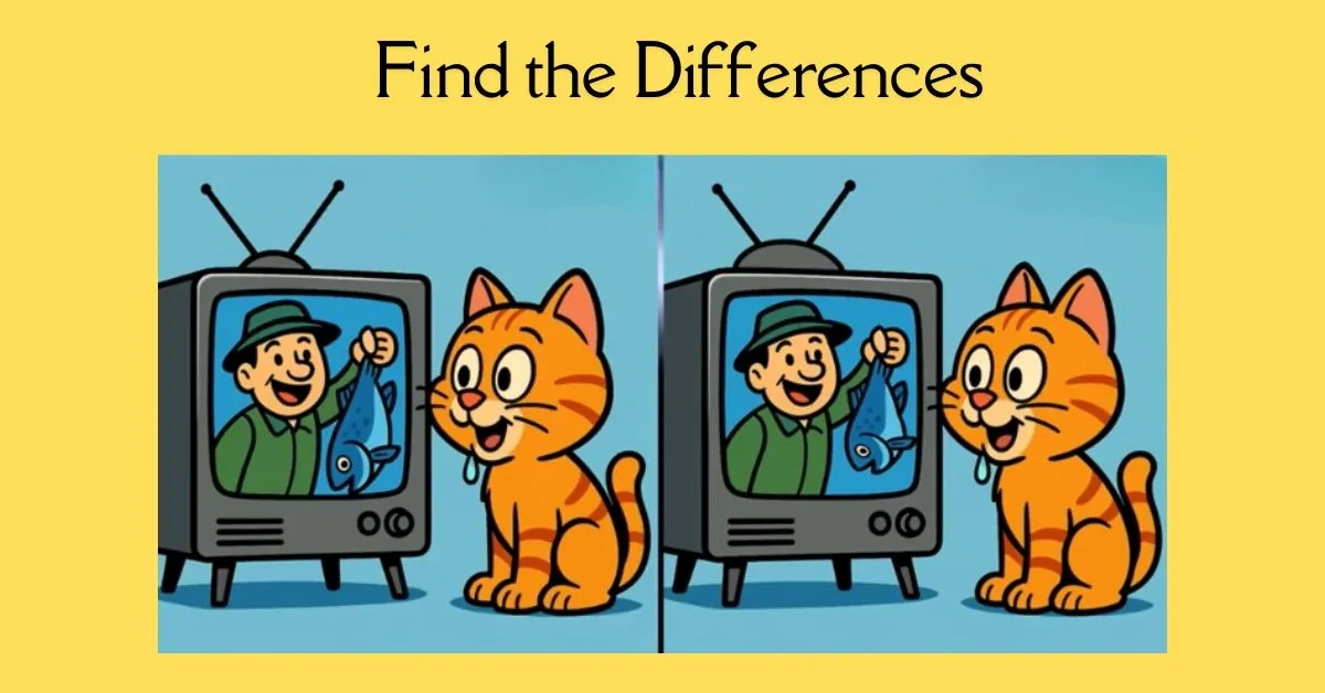 Spot 3 Differences in Cat Watching TV